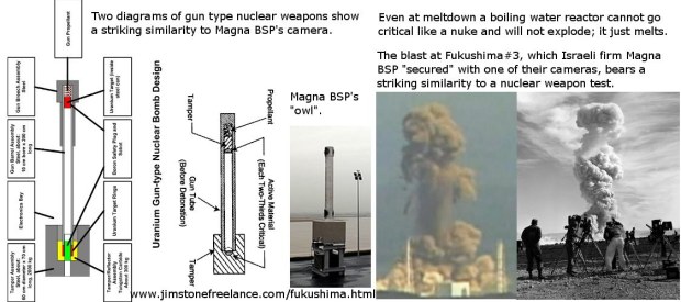 magna bsp, 3d camera, fukushima, 3/11 truth, japan, nuclear attacks, tsunami, earthquake